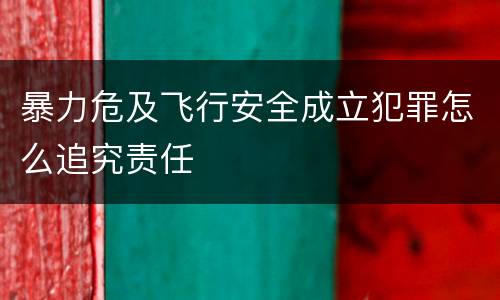 暴力危及飞行安全成立犯罪怎么追究责任