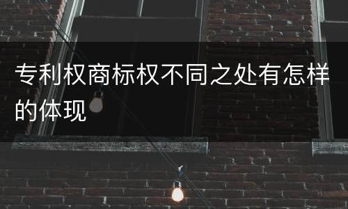 专利权商标权不同之处有怎样的体现