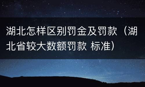 湖北怎样区别罚金及罚款（湖北省较大数额罚款 标准）