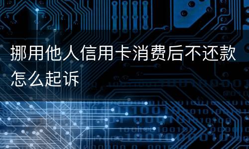 挪用他人信用卡消费后不还款怎么起诉