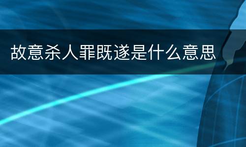 故意杀人罪既遂是什么意思