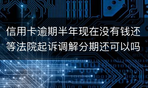 信用卡逾期半年现在没有钱还等法院起诉调解分期还可以吗