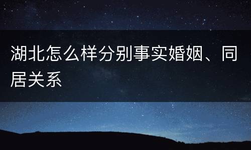 湖北怎么样分别事实婚姻、同居关系