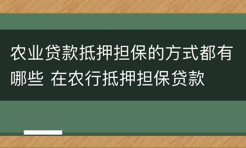 农业贷款抵押担保的方式都有哪些 在农行抵押担保贷款