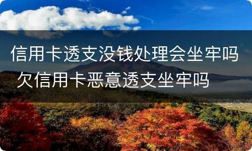 信用卡透支没钱处理会坐牢吗 欠信用卡恶意透支坐牢吗