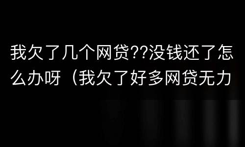 我欠了几个网贷??没钱还了怎么办呀（我欠了好多网贷无力偿还怎么办）