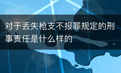 对于丢失枪支不报罪规定的刑事责任是什么样的