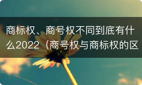 商标权、商号权不同到底有什么2022（商号权与商标权的区别）