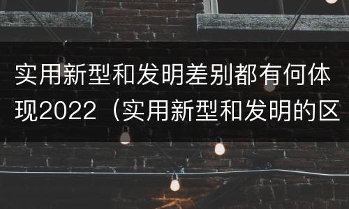 实用新型和发明差别都有何体现2022（实用新型和发明的区别）