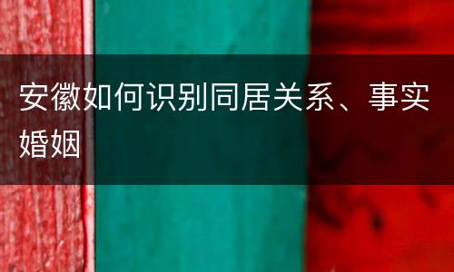 安徽如何识别同居关系、事实婚姻