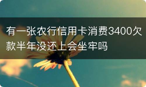 有一张农行信用卡消费3400欠款半年没还上会坐牢吗