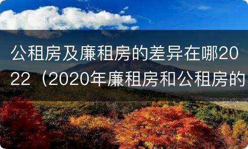 公租房及廉租房的差异在哪2022（2020年廉租房和公租房的区别）