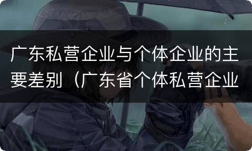 广东私营企业与个体企业的主要差别（广东省个体私营企业）