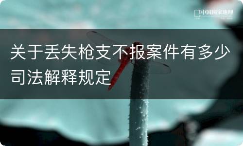 关于丢失枪支不报案件有多少司法解释规定