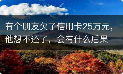 有个朋友欠了信用卡25万元，他想不还了，会有什么后果