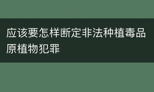 应该要怎样断定非法种植毒品原植物犯罪