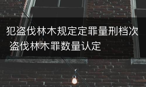 刑法对背信运用受托财产罪的刑事量刑的标准