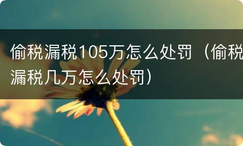 偷税漏税105万怎么处罚（偷税漏税几万怎么处罚）