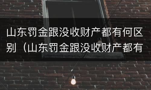 山东罚金跟没收财产都有何区别（山东罚金跟没收财产都有何区别呢）