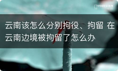 云南该怎么分别拘役、拘留 在云南边境被拘留了怎么办