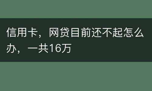 信用卡，网贷目前还不起怎么办，一共16万