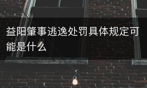 益阳肇事逃逸处罚具体规定可能是什么