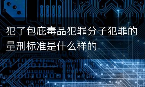 犯了包庇毒品犯罪分子犯罪的量刑标准是什么样的