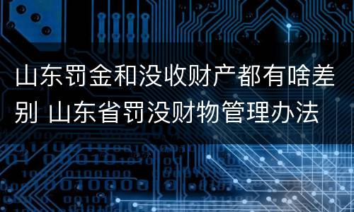 山东罚金和没收财产都有啥差别 山东省罚没财物管理办法