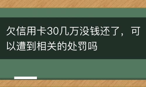 欠信用卡30几万没钱还了，可以遭到相关的处罚吗