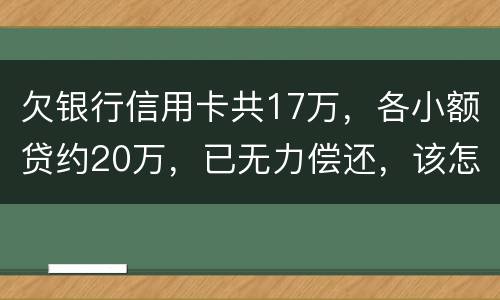 欠银行信用卡共17万，各小额贷约20万，已无力偿还，该怎么办