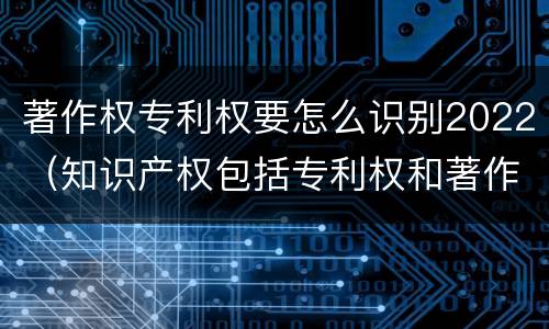 著作权专利权要怎么识别2022（知识产权包括专利权和著作权吗）