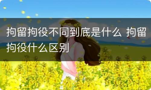 拘留拘役不同到底是什么 拘留拘役什么区别