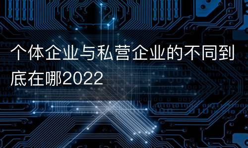 个体企业与私营企业的不同到底在哪2022