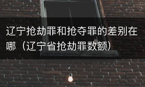 辽宁抢劫罪和抢夺罪的差别在哪（辽宁省抢劫罪数额）