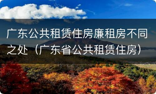 广东公共租赁住房廉租房不同之处（广东省公共租赁住房）