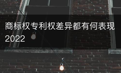 商标权专利权差异都有何表现2022