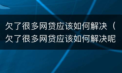 欠了很多网贷应该如何解决（欠了很多网贷应该如何解决呢）