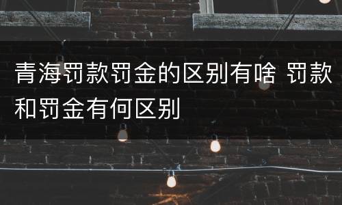 青海罚款罚金的区别有啥 罚款和罚金有何区别