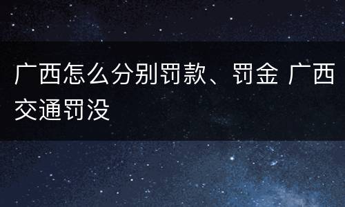 广西怎么分别罚款、罚金 广西交通罚没