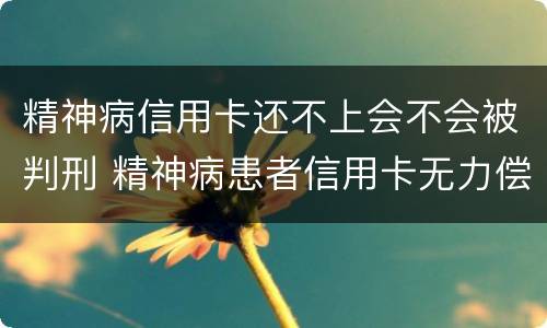 精神病信用卡还不上会不会被判刑 精神病患者信用卡无力偿还怎么办