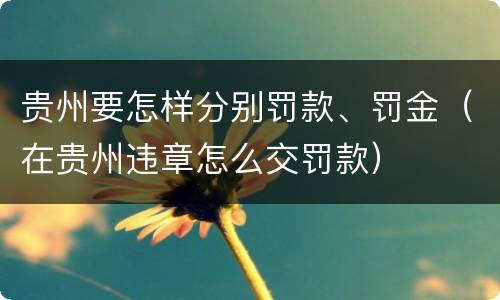 贵州要怎样分别罚款、罚金（在贵州违章怎么交罚款）