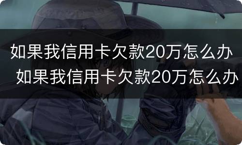 如果我信用卡欠款20万怎么办 如果我信用卡欠款20万怎么办理