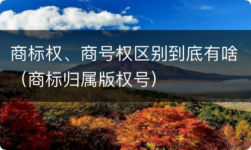 商标权、商号权区别到底有啥（商标归属版权号）