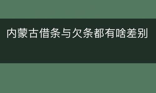 内蒙古借条与欠条都有啥差别