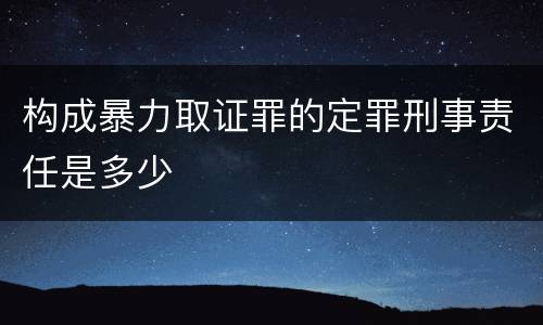 构成暴力取证罪的定罪刑事责任是多少