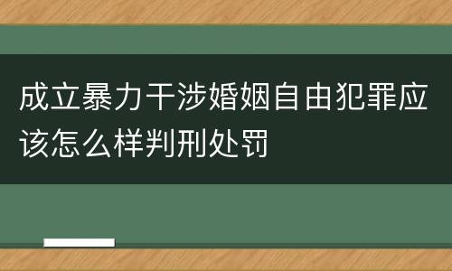 成立暴力干涉婚姻自由犯罪应该怎么样判刑处罚