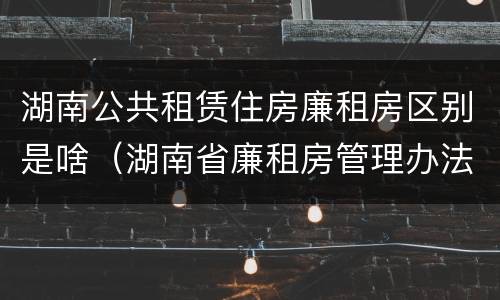 湖南公共租赁住房廉租房区别是啥（湖南省廉租房管理办法）