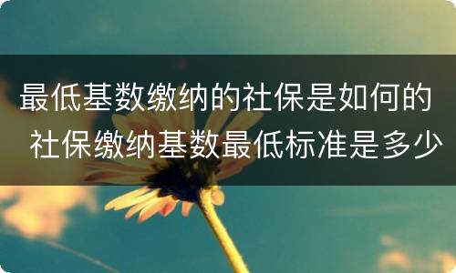 最低基数缴纳的社保是如何的 社保缴纳基数最低标准是多少