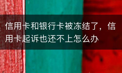 信用卡和银行卡被冻结了，信用卡起诉也还不上怎么办