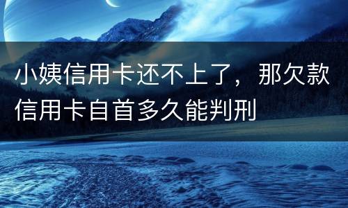 小姨信用卡还不上了，那欠款信用卡自首多久能判刑